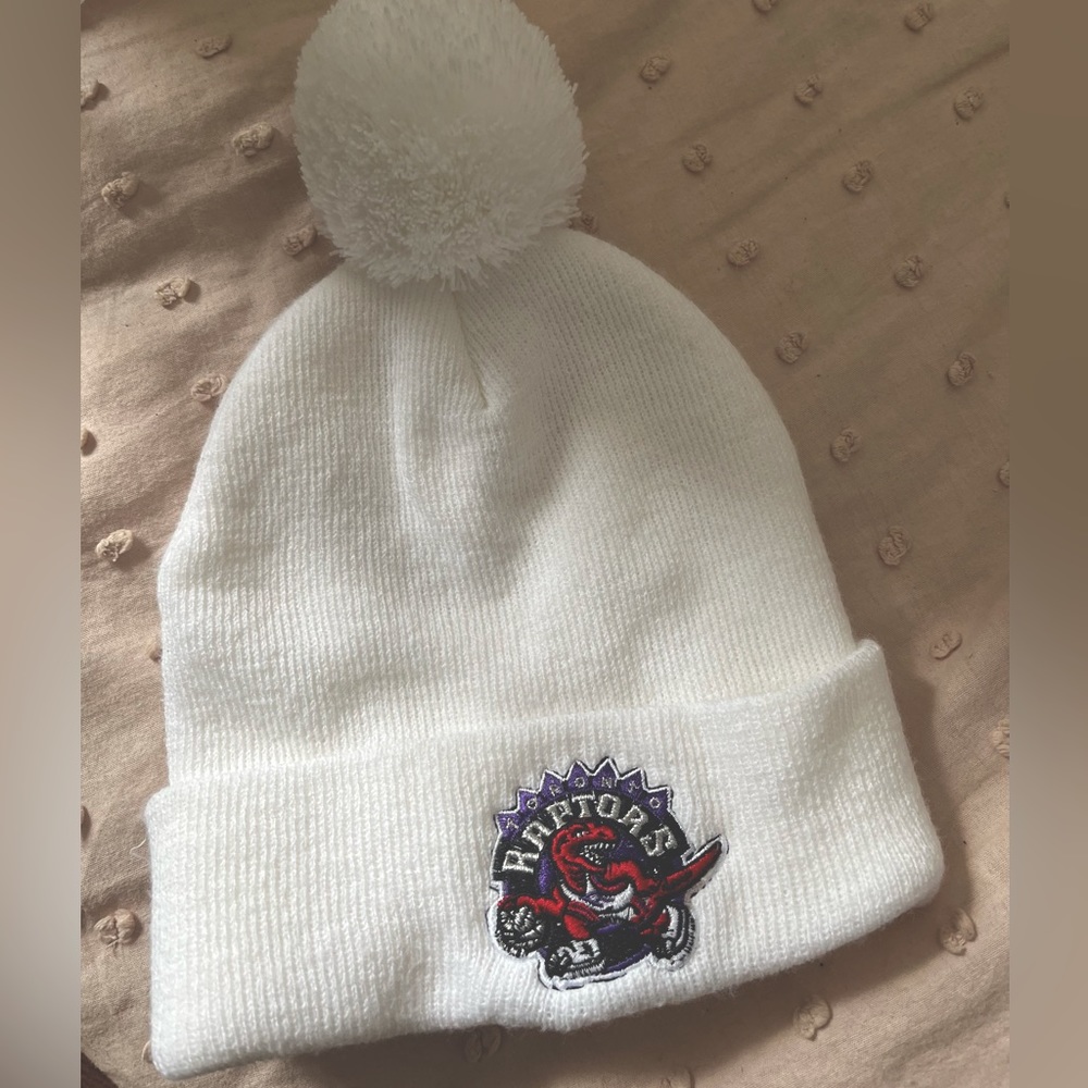 Raptors hat ⭐️ (3/$30)